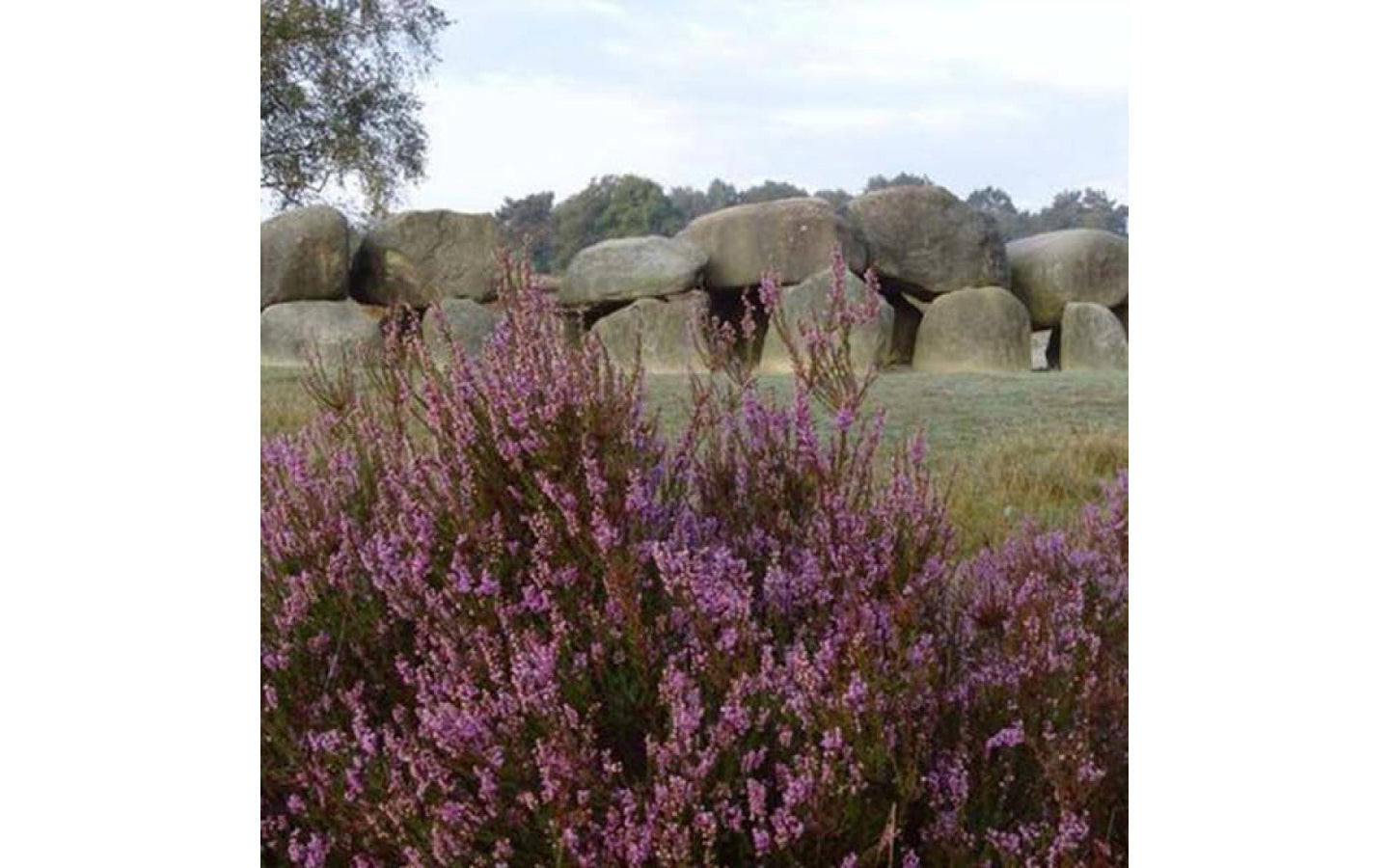 Hotel Eeserhof - afbeelding 6