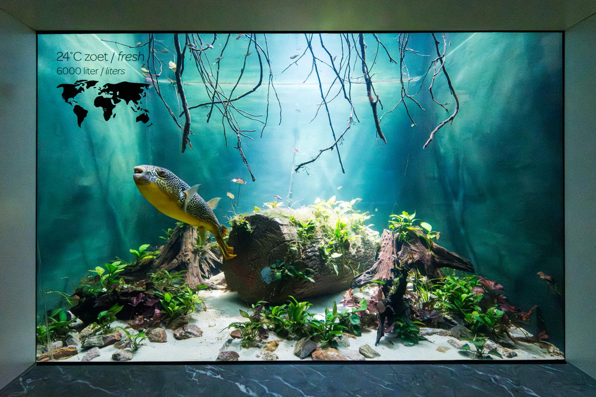 ARTIS-Park tickets met korting - afbeelding 2