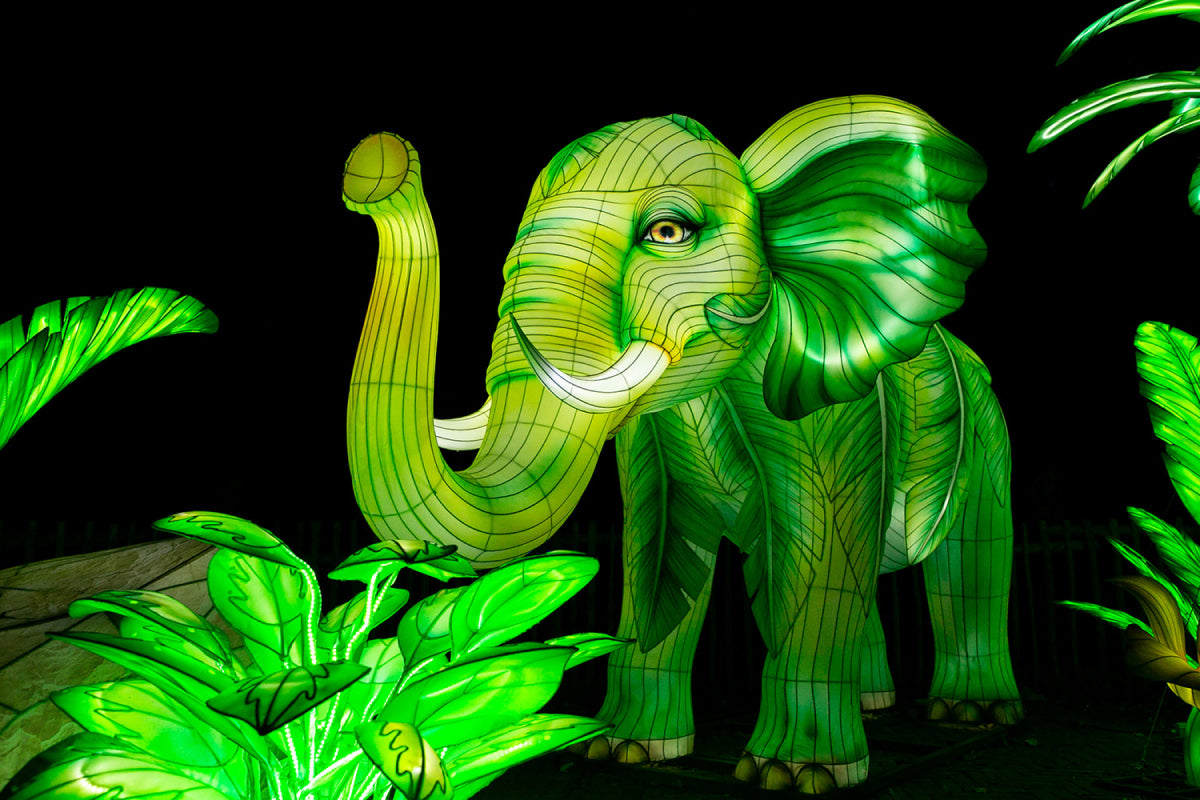 Ouwehands Dierenpark - Light Nights - afbeelding 2